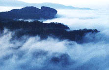 The Cloud Nest-Tianyou Scenic Area