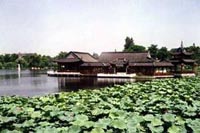 Lotus-Pond Park 