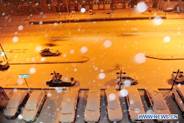 Beijing embraces first snow this winter
