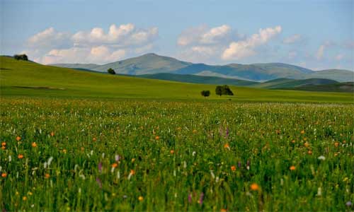 Summer view of Xilingol steppe in N China's Inner Mongolia