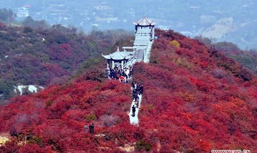 Tourists enjoy autumn red leaves in Changshou Mountain