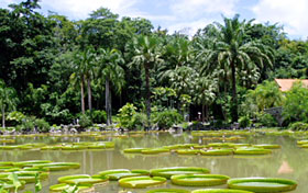 Xishuangbanna Hotels China