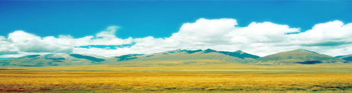 Grasslands of northern Tibet