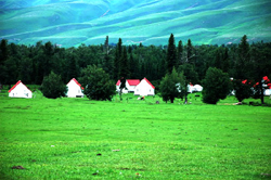 Nala Ti grassland