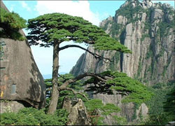 Huangshan Welcome Song