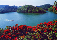 Rhododendron Lake