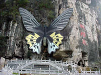 Butterfly Chuen