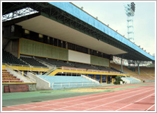 Guangdong Provincial People's Stadium