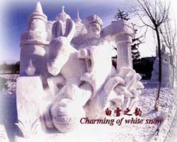 Charming of white snow