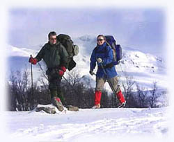 Cross-country Skiing