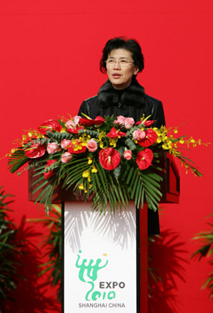 Shanghai Vice Mayor Yang Dinghua 