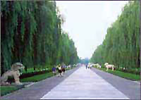 Thirteen Ming Tombs 