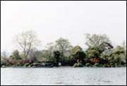 Ruan Mount in Green Water 