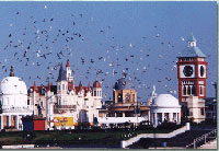 The Amusement Park of Suzhou 