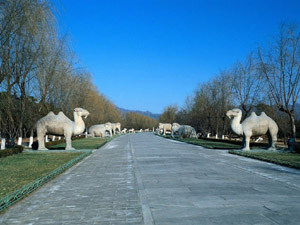 Ming Tombs