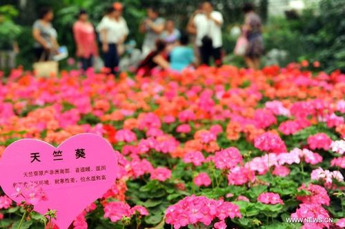 11th Int'l Agriculture-Food Expo opens in NE China