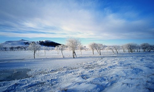 A photographer's guide to the Bashang Grasslands in Winter