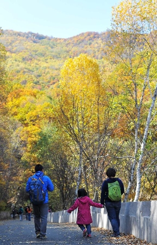 Autumn scenery in Beijing