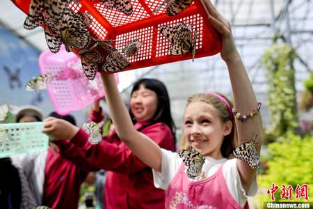 Butterfly garden opens in Beijing