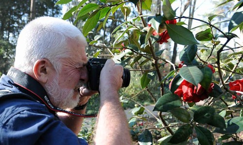 Camellia festival held in Kunming Botanical Garden, China's Yunnan