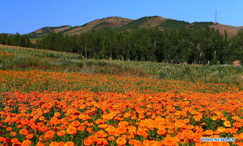 Charming scenery in Chaihe scenic spot in Inner Mongolia