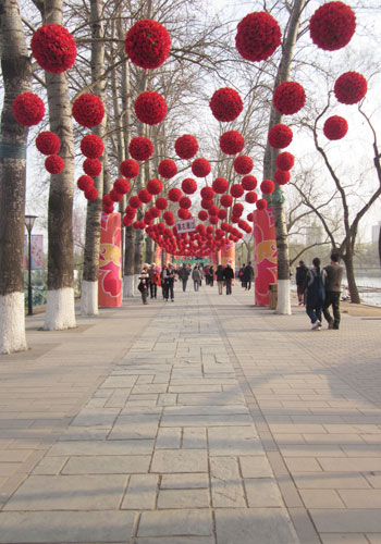 Cherry Blossom Festival spotlights environmental protection