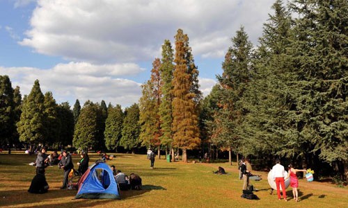 Enjoying Autumn sunshine in Kunming Botanical Garden