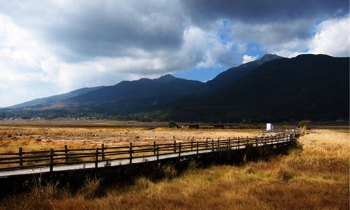 Feel the breath of the Beihai Wetlands in Tengchong, Yunnan