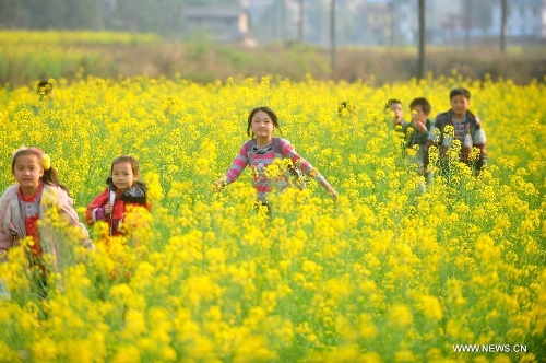 Flowers signal spring's coming