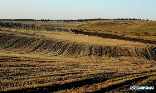 Grassland scenery in China's Inner Mongolia