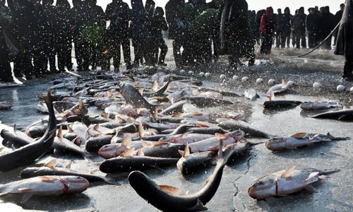Ice fishing festival held in Zhenlai County, NE China's Jilin