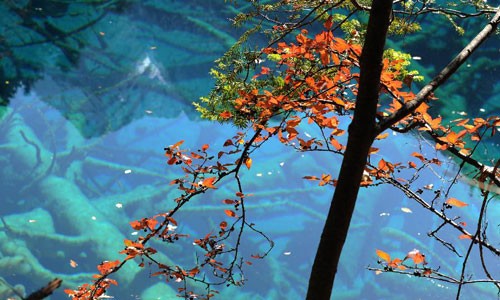 Landscape in deep Autumn days in China's Jiuzhaigou