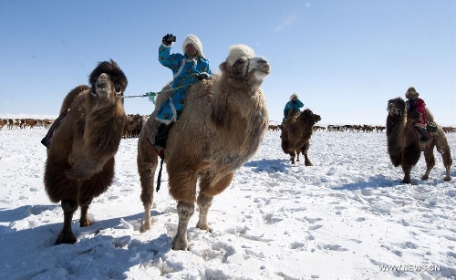 Livestock prosperity festival held in Inner Mongolia
