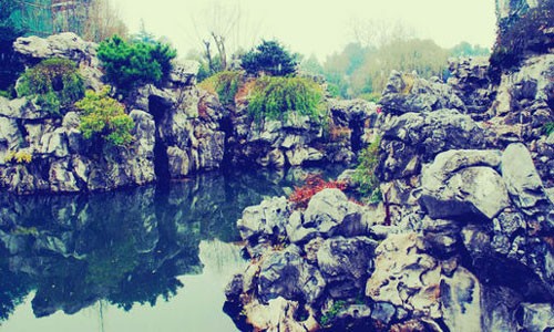Love Unrequited in Shenyuan Garden