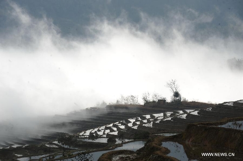 Painting-like scenery of Hani terraced fields in SW China