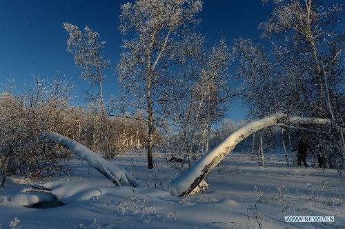 Snow scenery in Arxan mountain