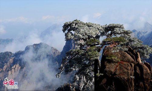 Spectacular rime in Mt. Huangshan