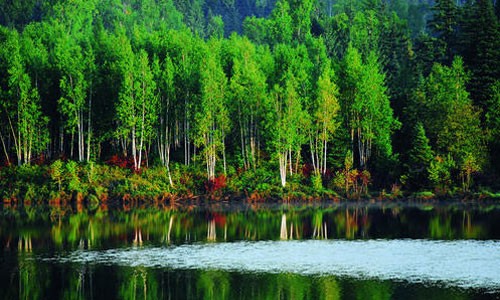 Tangwanghe National Park : a river runs through It