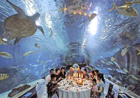 Tianjin:  family dinner under the sea, in the world's largest Ocean Park