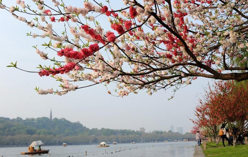 Visitors travel in West Lake scenic area in China's Hangzhou