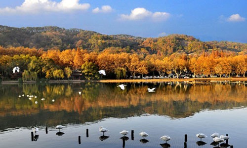 Xixi Wetland Park in Hangzhou earns AAAAA status