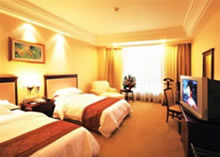 Executive Standard Room