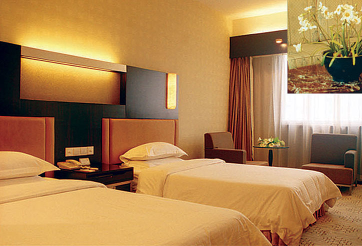 deluxe double room