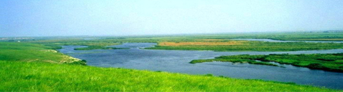 Hulunbuir prairie