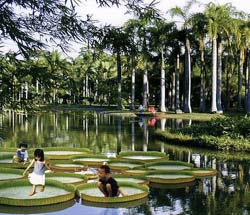 Menglun Botanical Garden