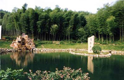 Zhuhai Scenic Area