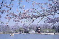 Xuanwu Lake