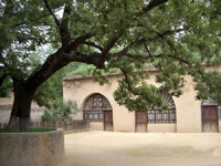 Jujube Park