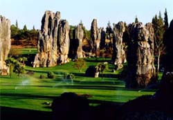 Stone Forest Scenic Area