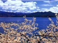 Lugu Lake